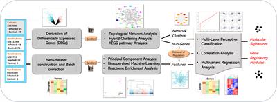 Systems and computational analysis of gene expression datasets reveals GRB-2 suppression as an acute immunomodulatory response against enteric infections in endemic settings